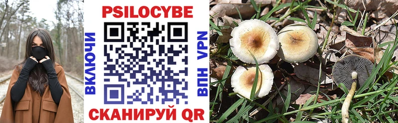 Галлюциногенные грибы мицелий  Шахунья 