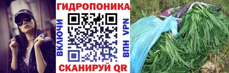 МАРИХУАНА планчик  где можно купить наркотик  omg ссылка  Шахунья 